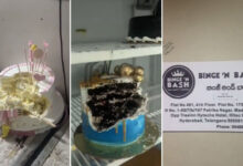 Hyderabad Hitech City Birthday Party Shock: Worms Found in Cake at Binge 'n Bash-Private Theater