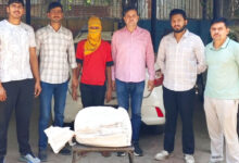 Delhi Police bust drug supply network, seize 8.120 kg ganja; one arrested