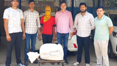 Delhi Police bust drug supply network, seize 8.120 kg ganja; one arrested