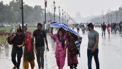 Rain brings brief relief to Delhiites amid heatwave; IMD warns of stormy weather across 13 states