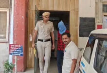 Drug peddler apprehended, ganja recovered: Delhi Police