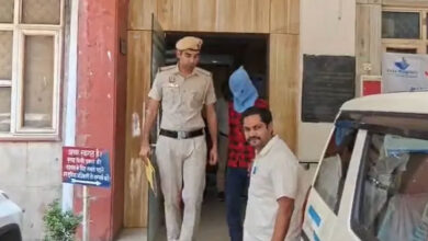 Drug peddler apprehended, ganja recovered: Delhi Police