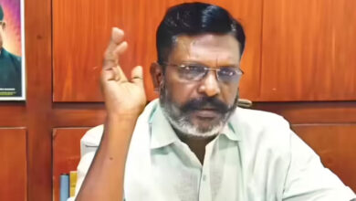 Vijay to meet Thol Thirumavalavan as TVK scrambles for majority in Tamil Nadu