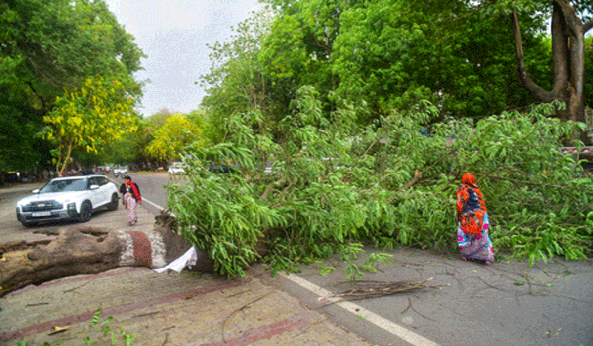 Thunderstorm, heavy rain claims 89 lives in UP; CM Yogi orders immediate relief