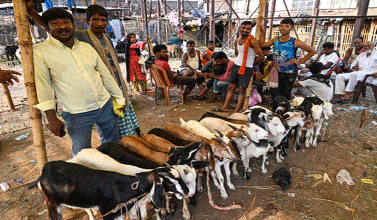Jamiat Ulama-i-Hind issues guidelines for Bakrid; urges people to follow law, maintain cleanliness