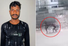 Narsingi Police Arrest 26-Year-Old Man for Molesting Woman at Alkapur Township in Hyderabad