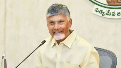 YSRCP criticises CM Chandrababu Naidu for using 'derogatory' terms to describe party