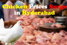 Chicken Prices Surge in Hyderabad During Wedding Season, Check Latest Price Here