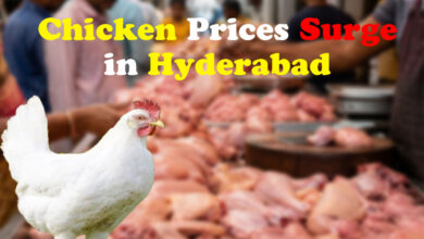 Chicken Prices Surge in Hyderabad During Wedding Season, Check Latest Price Here
