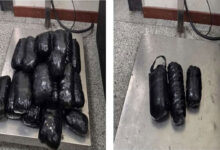 DRI Hyderabad Seizes 8.705 Kg Hydroponic Ganja Worth Rs 3.05 Crore at Hyderabad Airport, Two Arrested