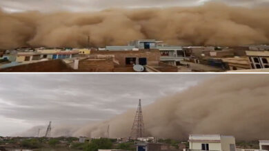 Massive Dust Storms Trigger Red Alert Across Rajasthan, Winds Touch 100 kmph