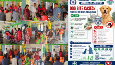 GHMC Conducts Rabies Awareness Drive, 405 Anti-Rabies Vaccinations Given Across Hyderabad