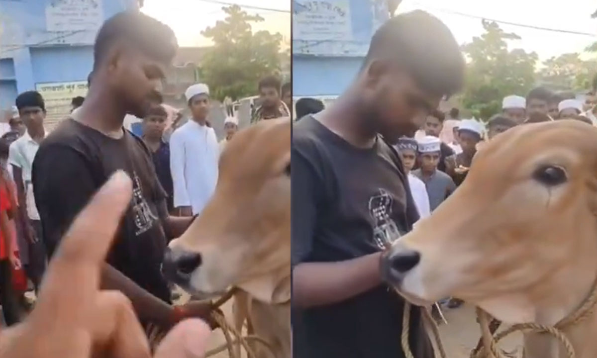 Hindu Youth Arrives at Cattle Market to Sell Cow, Muslims Refuse to Buy for Sacrifice: Video