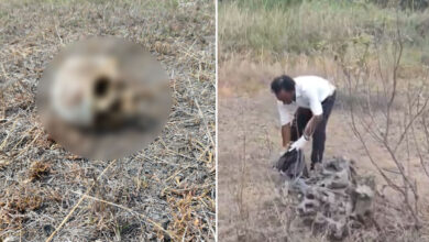 Telangana Shocker: Human Skull Found Near Temple, Police Launch Investigation