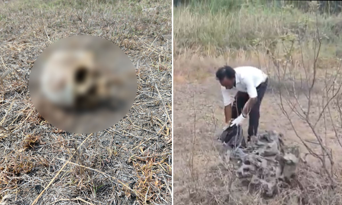 Telangana Shocker: Human Skull Found Near Temple, Police Launch Investigation