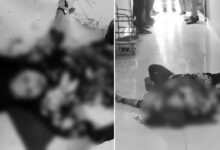 Hyderabad Murder: Woman Allegedly Stabbed to Death by Husband in Kishan Bagh