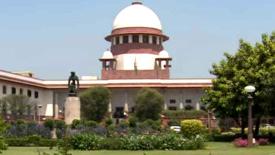 Supreme Court Refuses to Revise Stray Dog Guidelines, Says Dogs Must Be Removed from Public Places