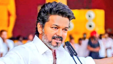 Tamil Nadu Elections: TVK Chief Vijay Wins Perambur Seat, Defeats R D Shekar