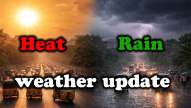 Telangana Weather Alert: Thunderstorms, Rain and Heat Wave Likely Across State till May 20