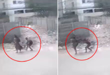 Woman Returning from School Allegedly Harassed in Broad Daylight at Manikonda: Video