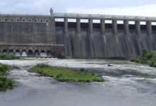 Farmers demand regulated water supply framework for Tamil Nadu Athikadavu-Avinashi project