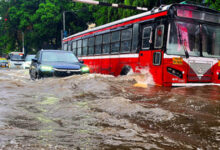 IMD issues alerts for 31 Maharashtra districts; Mumbai reports 113 tree fall incidents