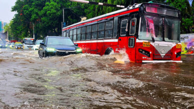 IMD issues alerts for 31 Maharashtra districts; Mumbai reports 113 tree fall incidents