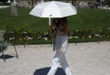 Over 1,300 excess deaths linked to Europe heatwave: WHO
