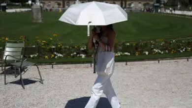 Over 1,300 excess deaths linked to Europe heatwave: WHO