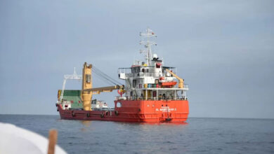 Roadmap to energy security: How India can survive without Strait of Hormuz
