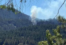 US fighter jet crashes in Washington state: Report