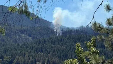 US fighter jet crashes in Washington state: Report
