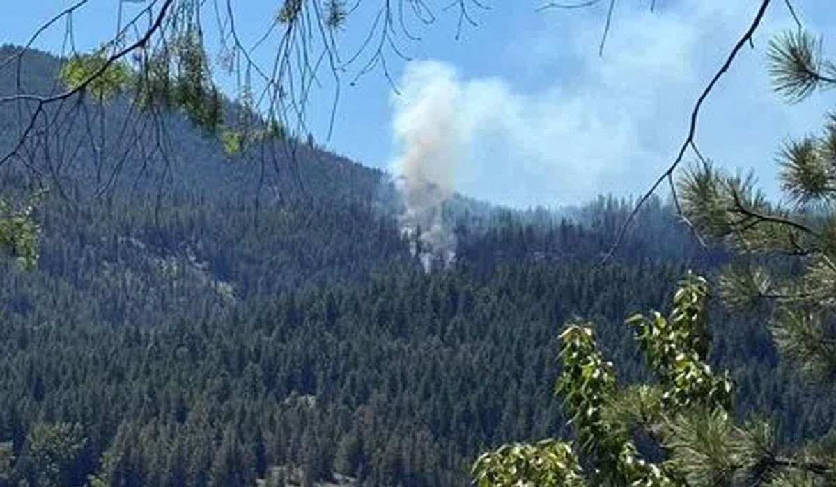 US fighter jet crashes in Washington state: Report