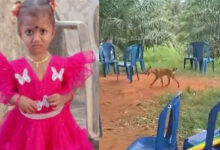 Missing Andhra girl case: Mystery deepens as pet dog returns and dies; NDRF joins operation