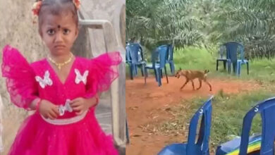 Missing Andhra girl case: Mystery deepens as pet dog returns and dies; NDRF joins operation
