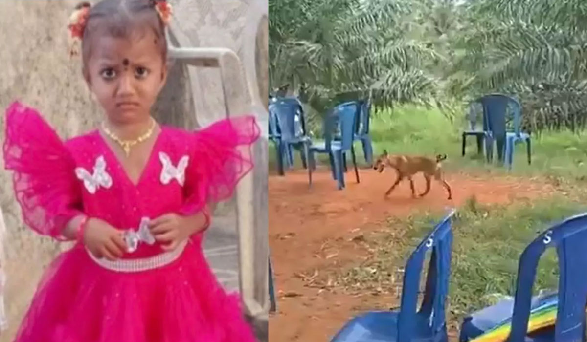 Missing Andhra girl case: Mystery deepens as pet dog returns and dies; NDRF joins operation