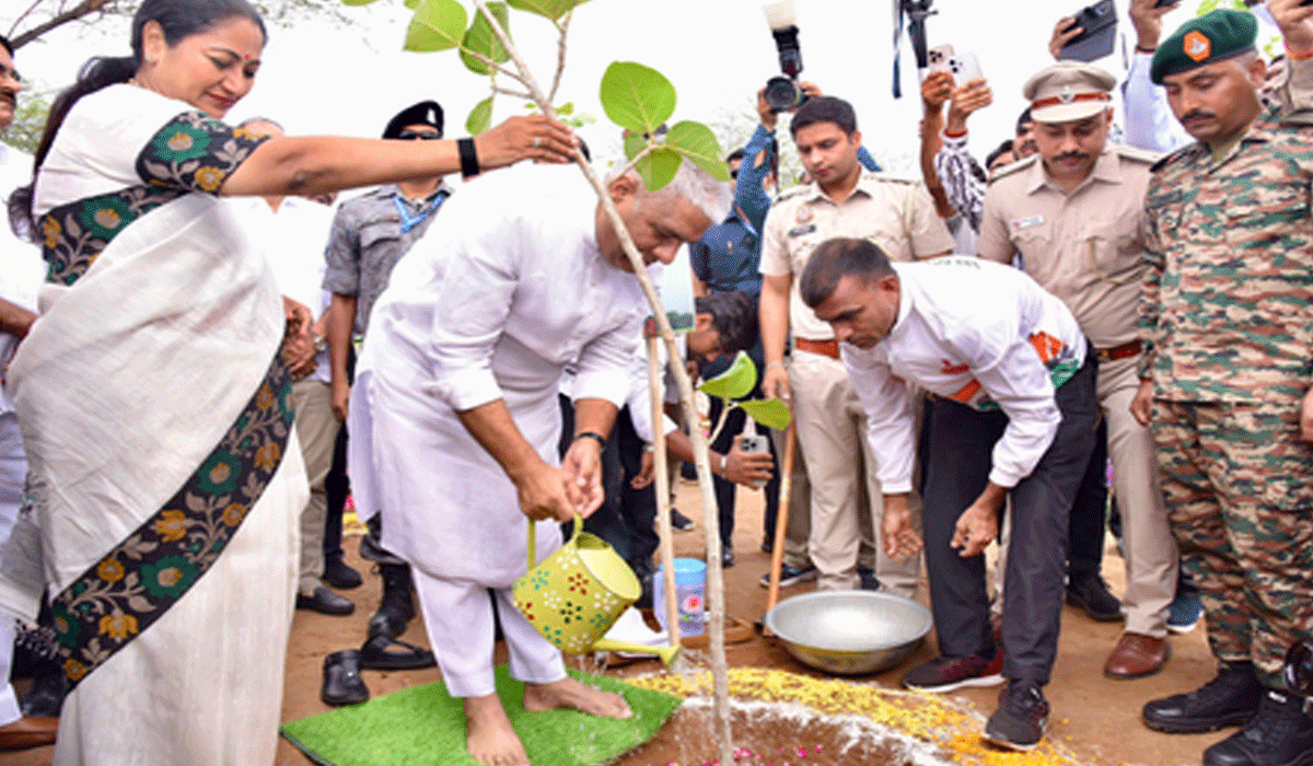 World Environment Day: Ministers, MPs join tree plantation drive under 'Ek Ped Maa Ke Naam' initiative