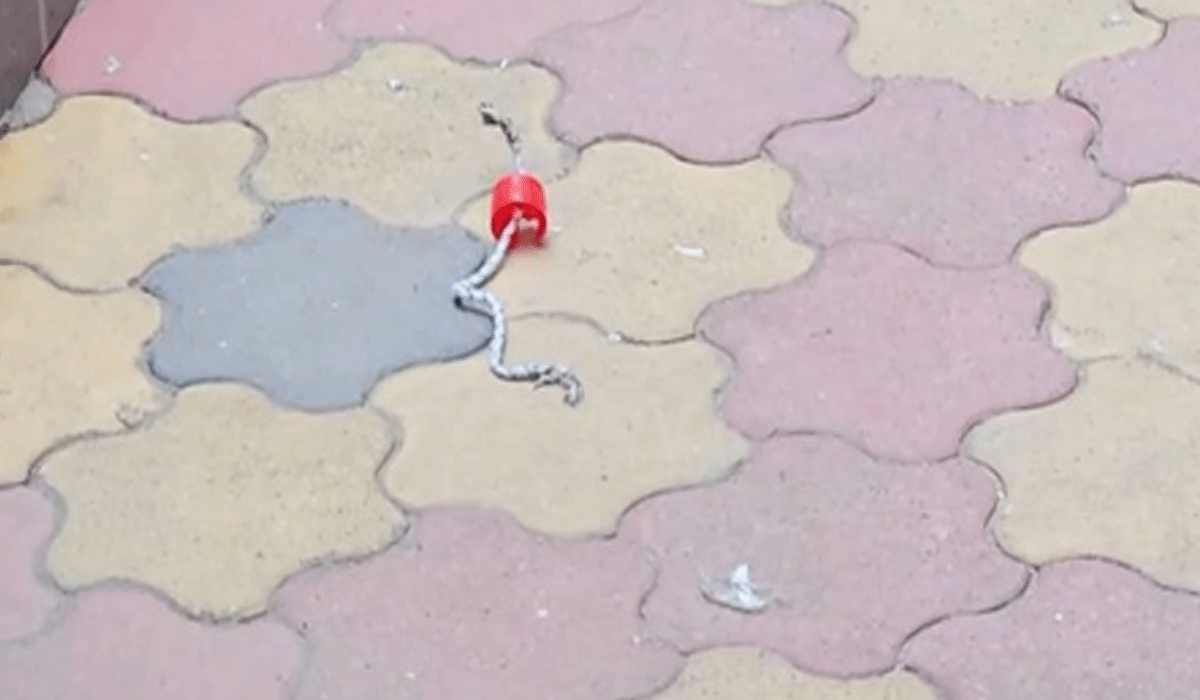 Miscreants hurl two petrol bombs at RSS office in Ranchi; police probe underway