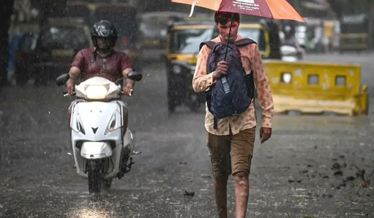 Southwest monsoon stalls over Maharashtra; IMD cites weakened winds, moisture flow