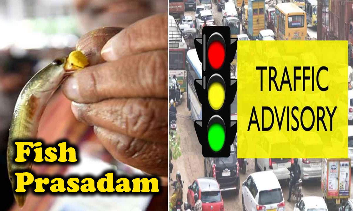 Hyderabad Traffic Advisory: Major Diversions Announced for Fish Prasadam Event at Exhibition Grounds Nampally on June 8-9