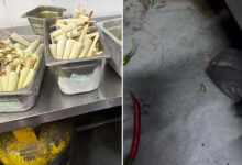 Food Safety Inspection at Barbeque Nation in Madinaguda: Unlabelled Food Discarded, Cockroach Infestation Found During Cyberabad Drive