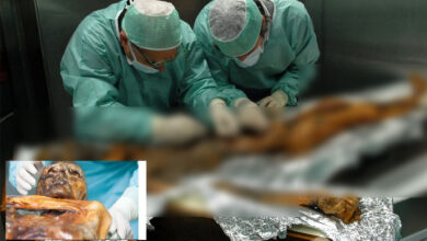 Ötzi the Iceman: Scientists Find Active Microbial Ecosystem on 5,300-Year-Old Ice Mummy