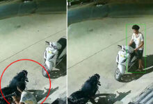 Petrol Theft Caught on CCTV in Ibrahimpatnam as Rising Fuel Prices Make Petrol a Target in Telangana