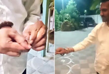 Hyderabad Businessman Dies After Snake Bite While Trying to Scare Friends at Moinabad Farmhouse