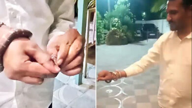 Hyderabad Businessman Dies After Snake Bite While Trying to Scare Friends at Moinabad Farmhouse