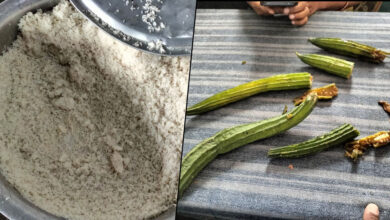 Maggots Found in Food Served at Telangana Gurukul Girls School in Jagtial, Triggering Fresh Concerns