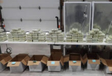 Canada busts major cross-border drug network, seizes nearly C$140 million worth of narcotics