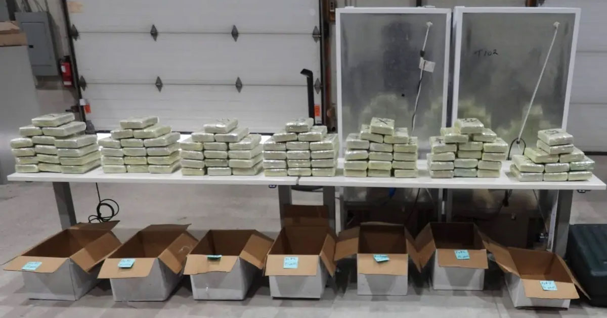 Canada busts major cross-border drug network, seizes nearly C$140 million worth of narcotics