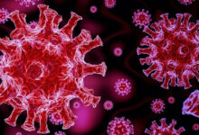 10 New COVID-19 Cases Reported in Andhra Pradesh, Active Cases Rise to 49