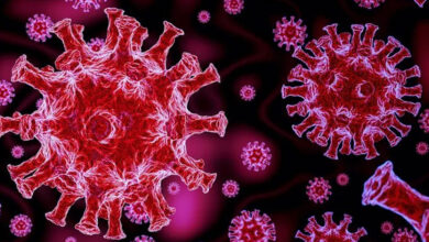 10 New COVID-19 Cases Reported in Andhra Pradesh, Active Cases Rise to 49
